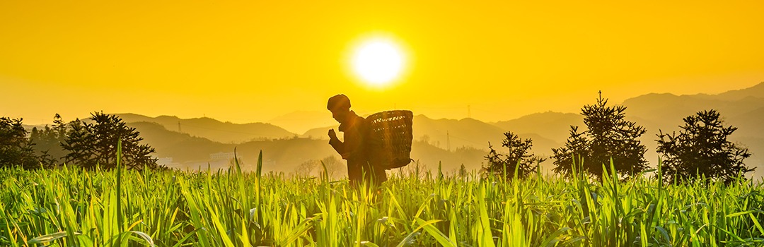 Workshop: Contemporary Chinese Village Gazetteer Data